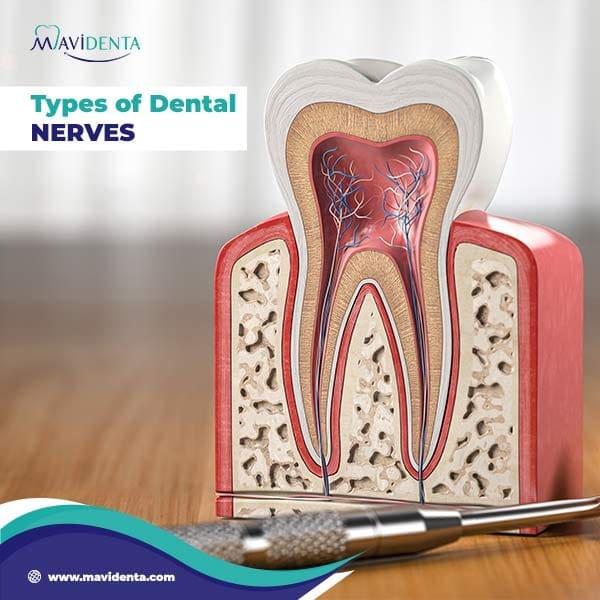 Symptoms of Dental Nerve Damage Symptoms of Dental Nerve Damage